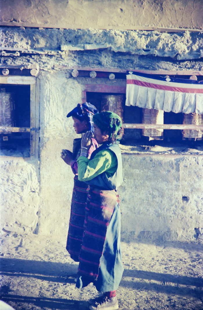 lhasa6