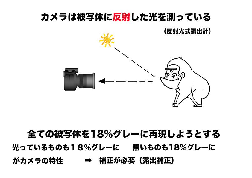 s10,18%グレー図解②