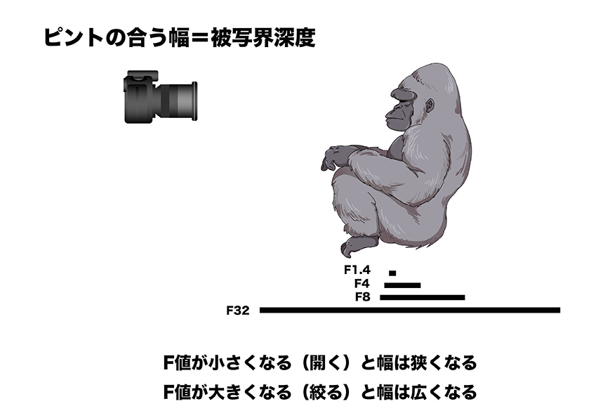 s7,被写界深度ゴリラ１