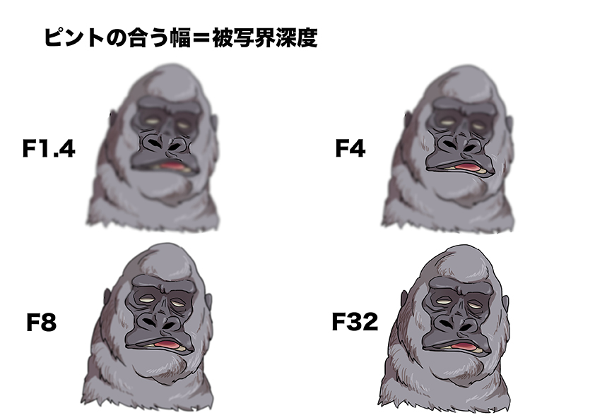 s8,被写界深度ゴリラ２